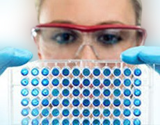 elisa kit 酶聯免疫試劑盒